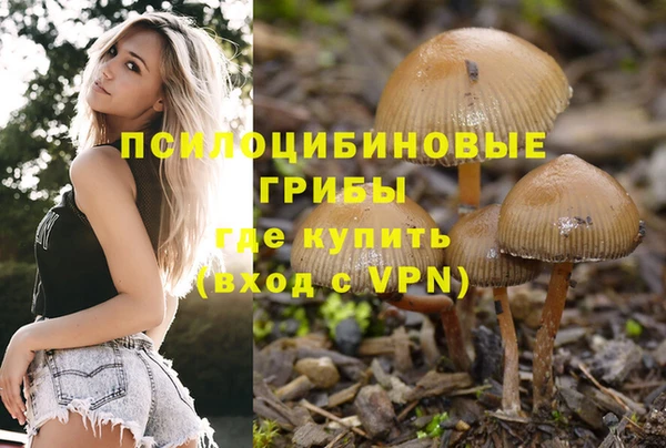 spice Саяногорск