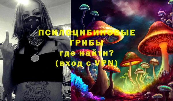каннабис Аркадак