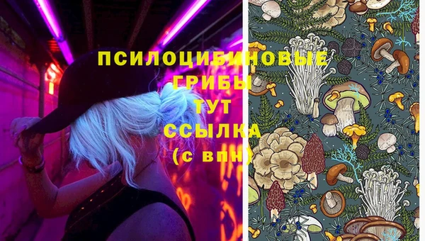 СК Алексин