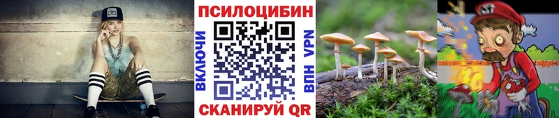 где продают наркотики  Михайловск  сайты даркнета наркотические препараты  Галлюциногенные грибы мухоморы 